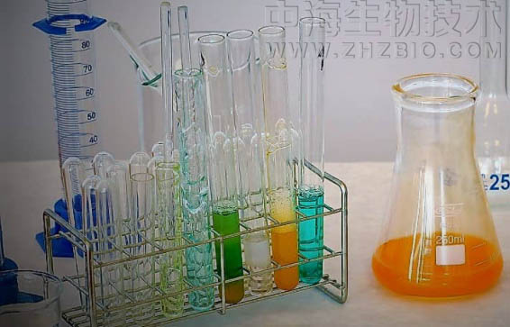 淺談培養(yǎng)基保存放置需注意四個(gè)方面？